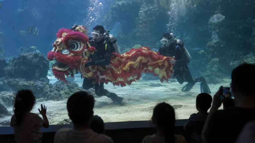 ハノイの水族館で獅子舞の衣装を操る二人のダイバーと観客