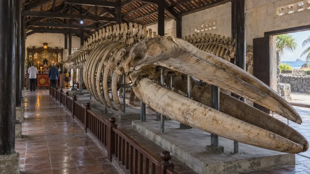 リーソン島の祠に安置された巨大なクジラ骨格と祈る漁師