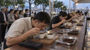 ダナンの利き珈琲大会で三つのカップを飲み比べる参加者