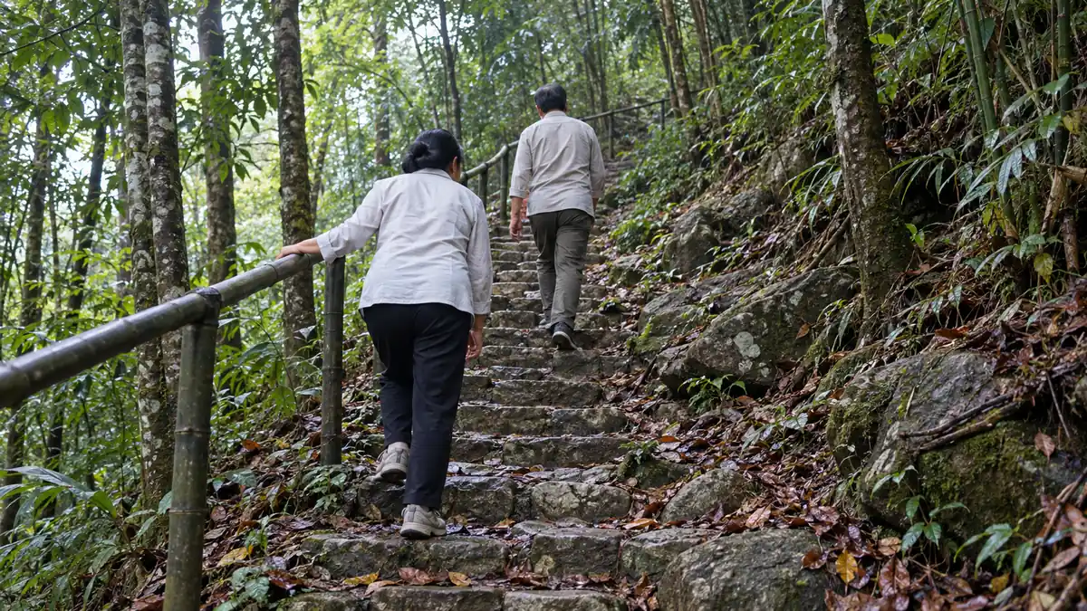 北西部の山林で手すりを使い石段を歩く旅行者のイメージ。ディエンビエンフーの特定史跡や計画中のケーブルカー完成像を撮影した写真ではありません